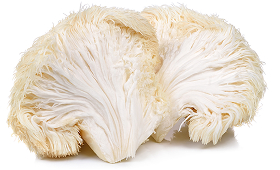 Lion's Mane Mushroom
